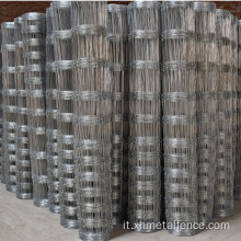 Recinzione galvanizzata in field di erba espandibile
